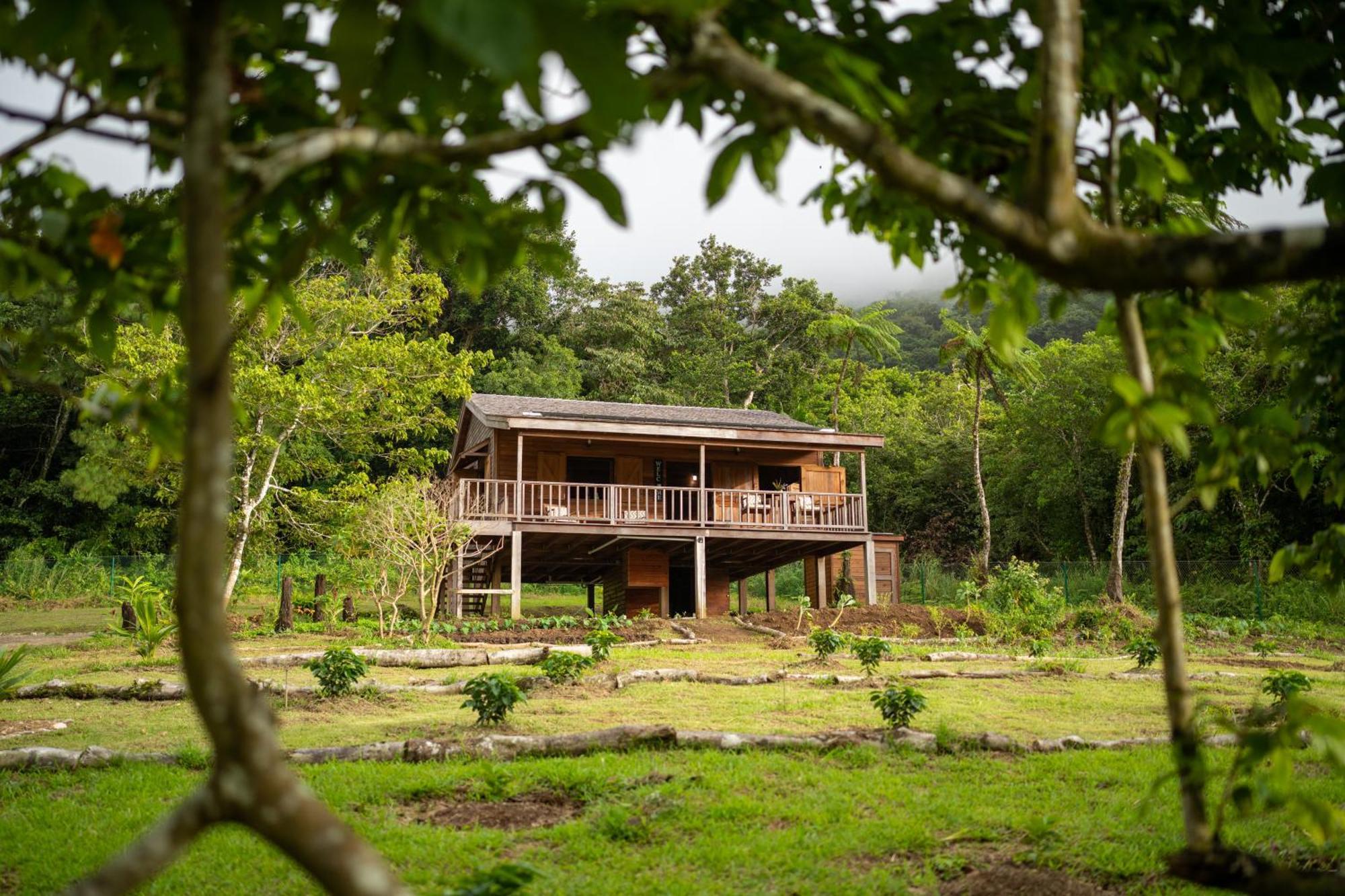Villa Liamuiga Romneys Екстер'єр фото